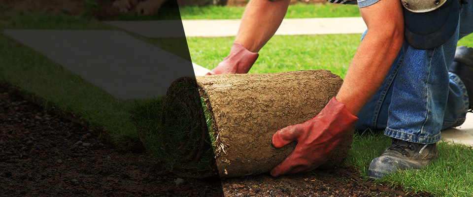 Elgin Landscapers